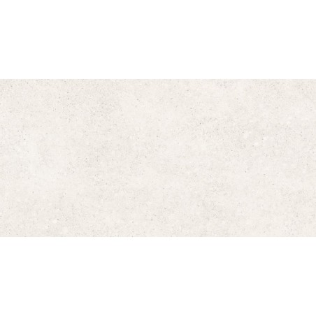 STALE WHITE MATE 60X120 RECTIFICADO