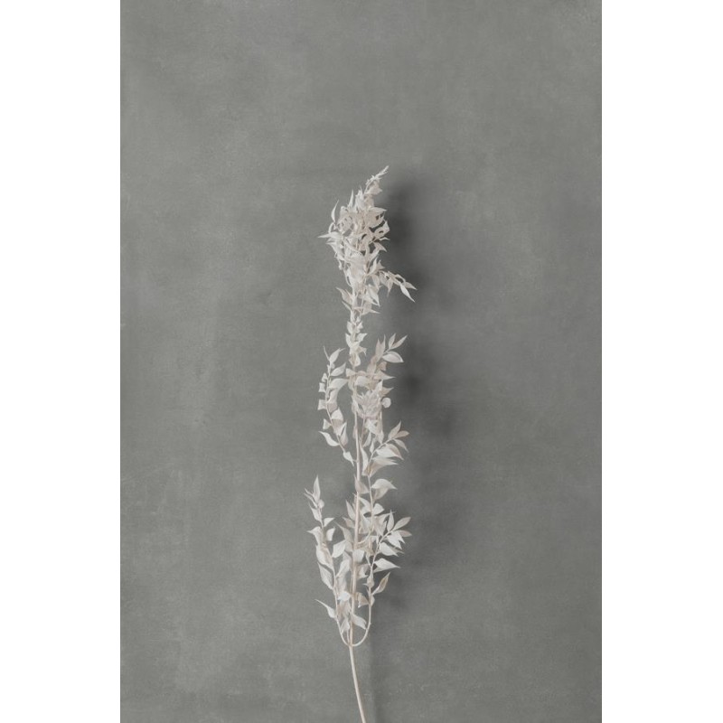 SEVEN DARK GREY NATURAL 120X280 6MM RECTIFICADO