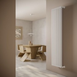 Radiador De Hogar Ellipsis 30_V 2 1030X640 Mm Blanco