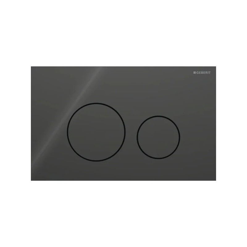 Pulsador Geberit Sigma40 para doble descarga, round