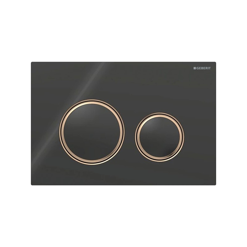 Pulsador Geberit Sigma50 (ex. Sigma21) para doble descarga, round