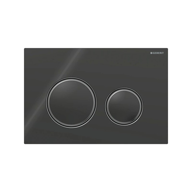 Pulsador Geberit Sigma50 (ex. Sigma21) para doble descarga, round