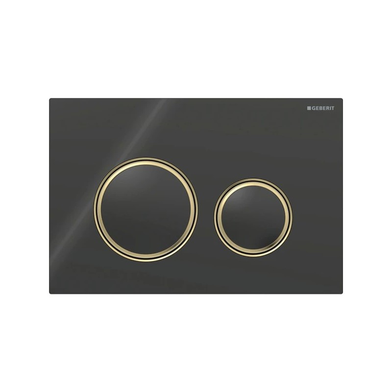 Pulsador Geberit Sigma50 (ex. Sigma21) para doble descarga, round