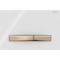 Pulsador Geberit Sigma50 para doble descarga, square