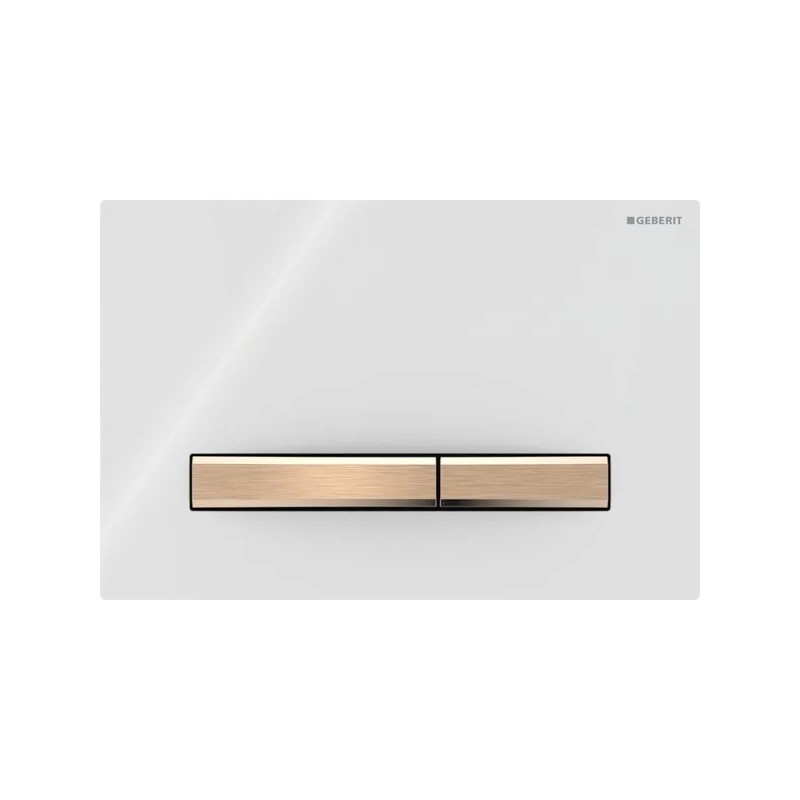 Pulsador Geberit Sigma50 para doble descarga, square