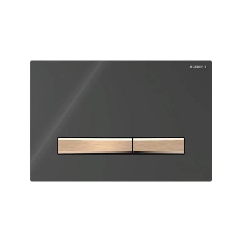 Pulsador Geberit Sigma50 para doble descarga, square