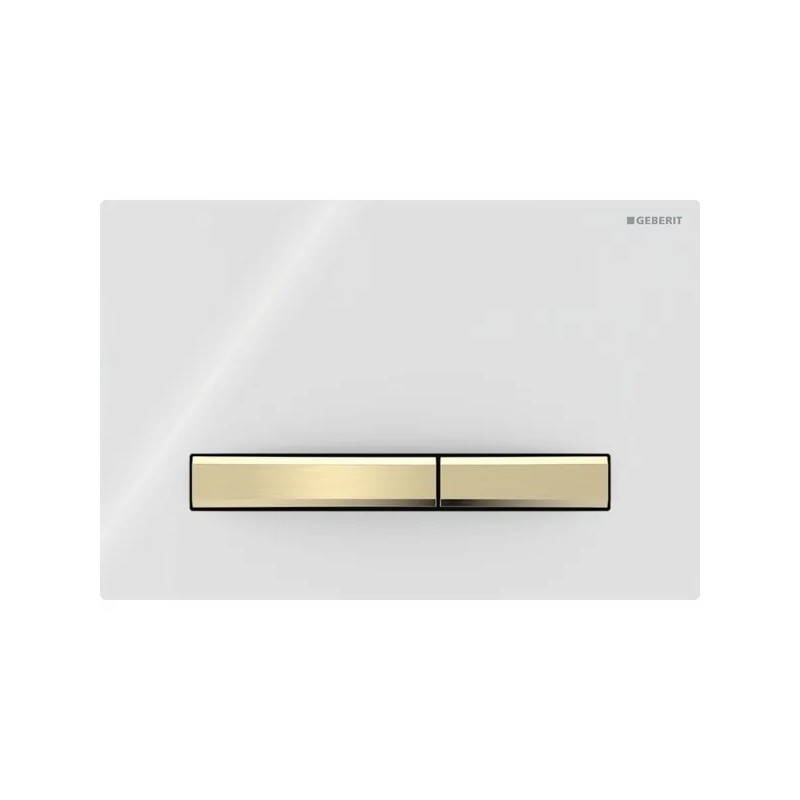 Pulsador Geberit Sigma50 para doble descarga, square