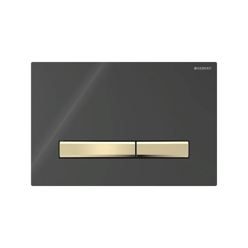 Pulsador Geberit Sigma50 para doble descarga, square