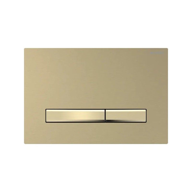 Pulsador Geberit Sigma50 para doble descarga, square