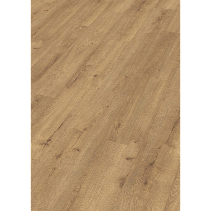 MEISTER LD250 ROBLE CHAMPAN 7001