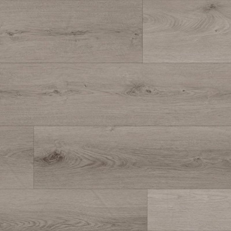 VINYL TIGRIS RHINO 5755 23,2X123,5