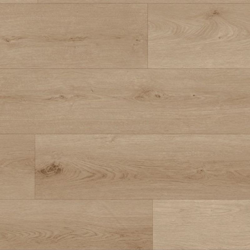VINYL TIGRIS SAVANNA 5758 23,2X123,5