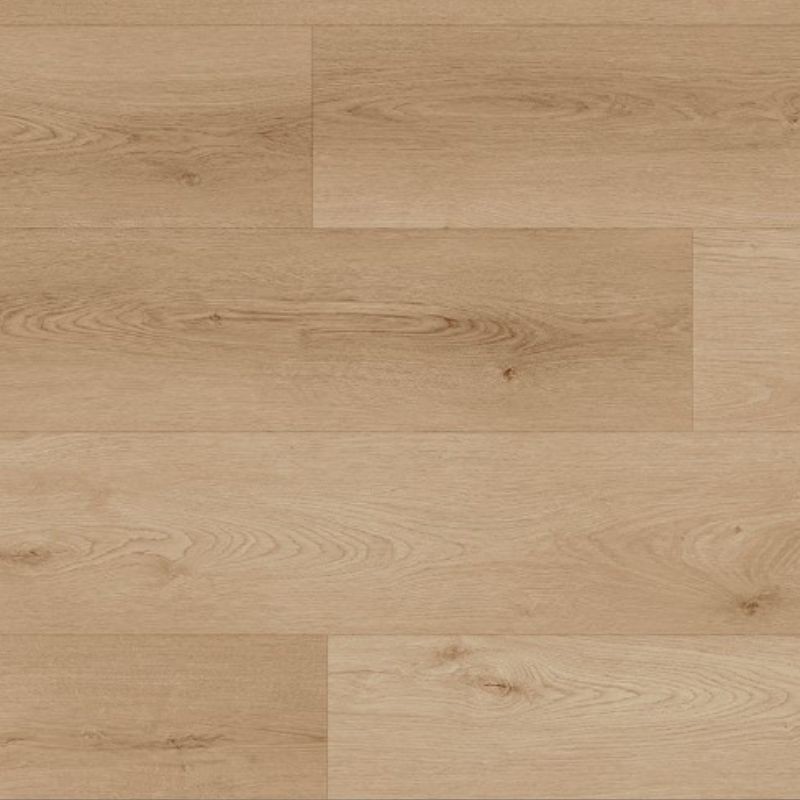 VINYL TIGRIS LION 5761 23,2X123,5 VINYL TIGRIS LION 5761 23,2X123,5