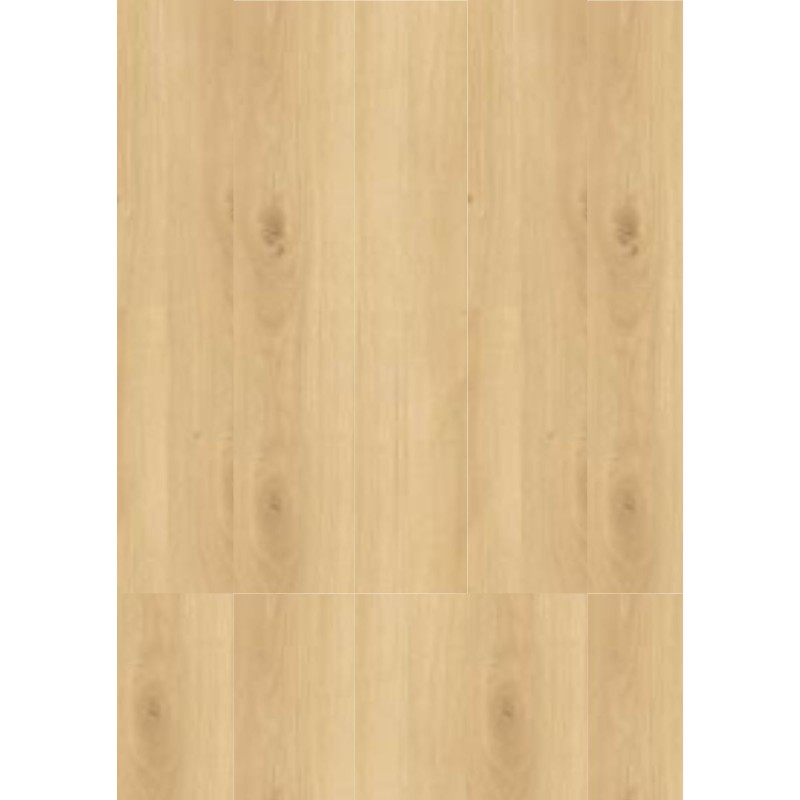 BALTERIO LIVANTI ROBLE TREVISO 61087 BALTERIO LIVANTI ROBLE TREVISO 61087