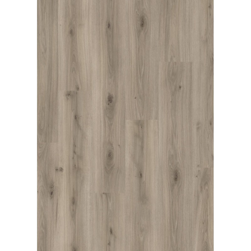 BALTERIO LIVANTI ROBLE PADUA 61089 BALTERIO LIVANTI ROBLE PADUA 61089