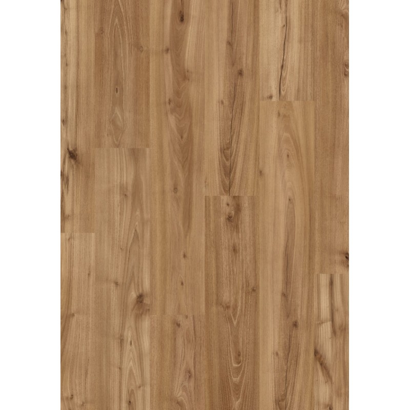 BALTERIO LIVANTI ROBLE BRESCIA 61091 BALTERIO LIVANTI ROBLE BRESCIA 61091