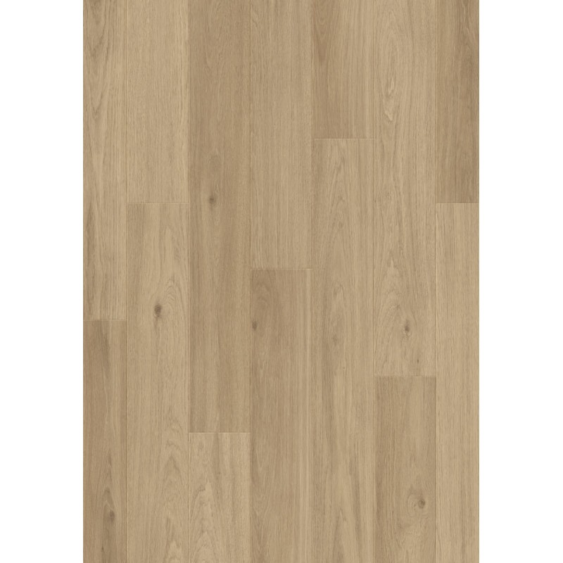 BALTER RESTRETO ROBLE DEL DESIERTO 61085 BALTER RESTRETO ROBLE DEL DESIERTO 61085