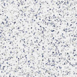 Azulejo efecto Terrazo Frammento de Marazzi para Baño,Cocina,Residencial,Comercio