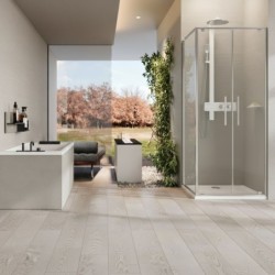 Mampara Novellini Riga 2B