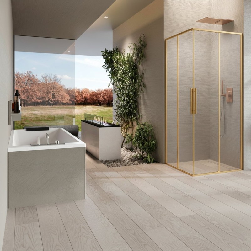 Mampara Novellini Riga A