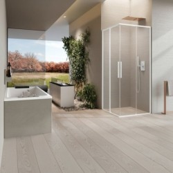 Mampara Novellini Riga A