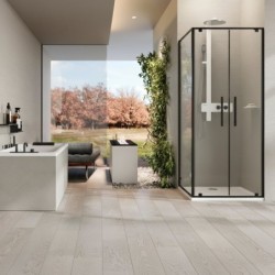 Mampara Novellini Riga 2B