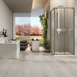 Mampara Novellini Riga 2B