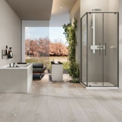 Mampara Novellini Riga 2B