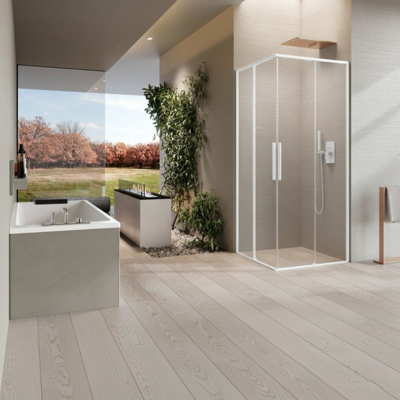 Mampara Novellini Riga A