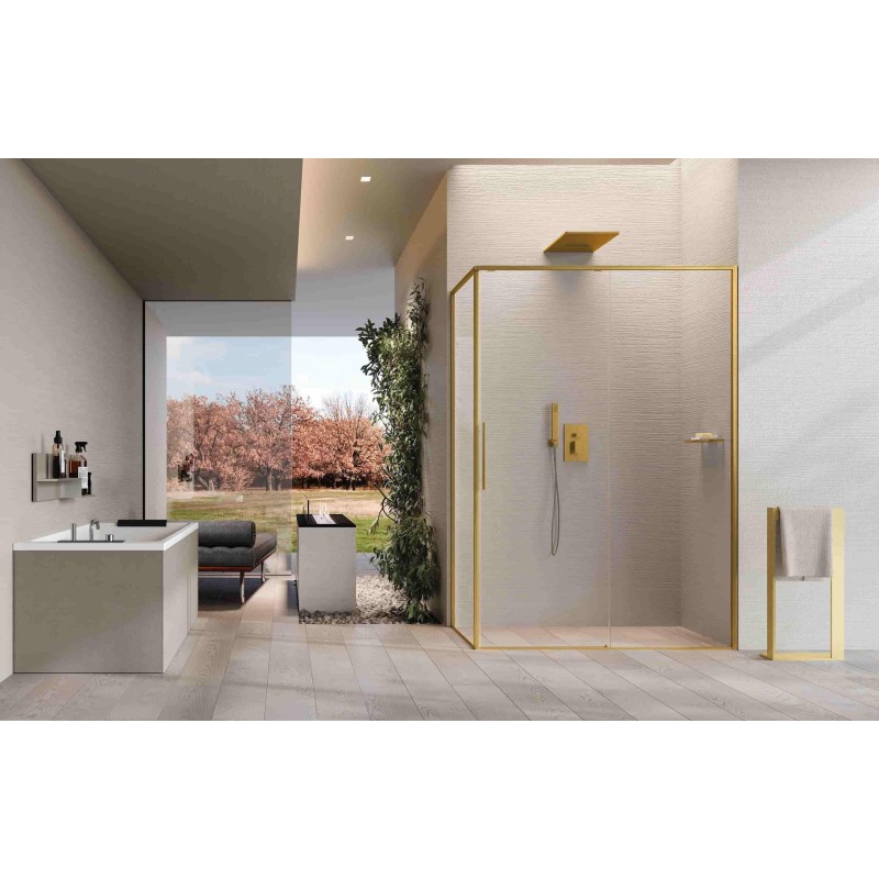 Mampara Novellini Riga G