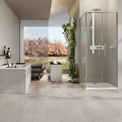 Mampara Novellini Riga 2B