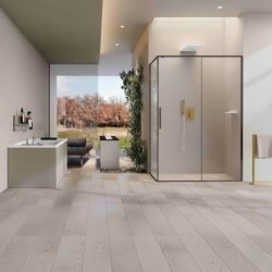 Mampara Novellini Riga G