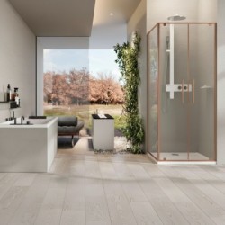 Mampara Novellini Riga 2B