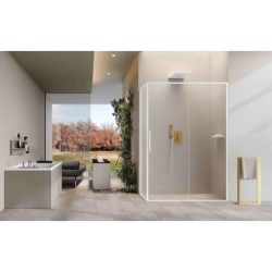 Mampara Novellini Riga G