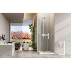 Mampara Novellini Riga 2B