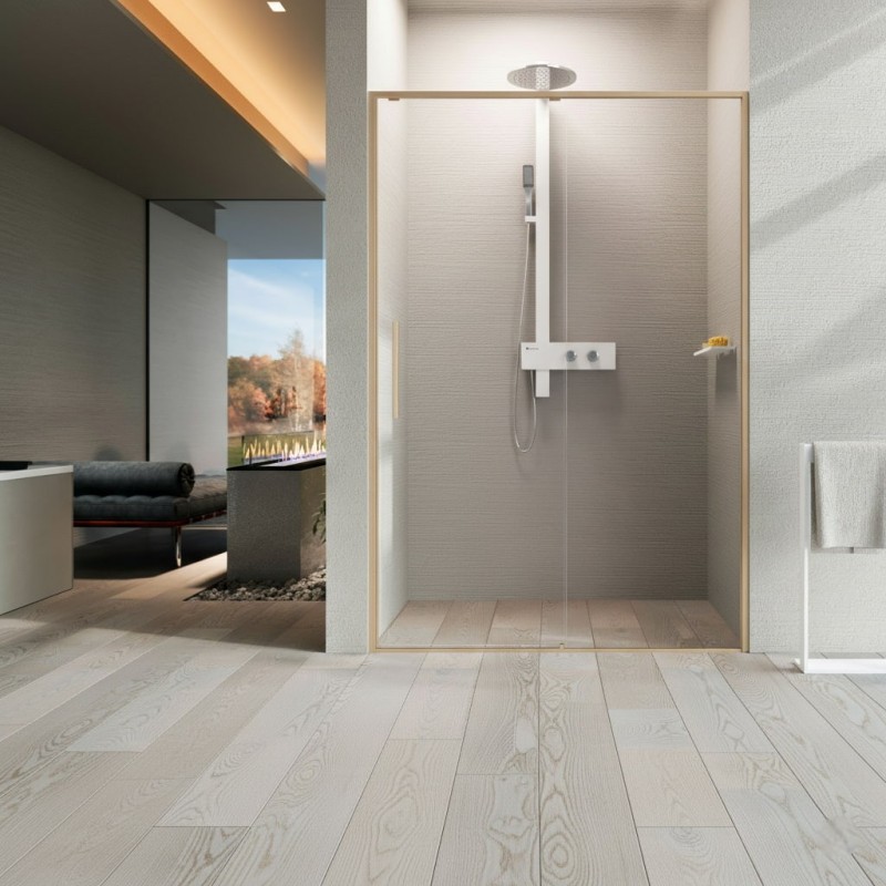 Mampara Novellini Riga 2P