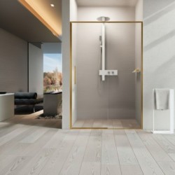 Mampara Novellini Riga 2P