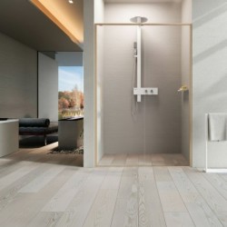 Mampara Novellini Riga 2P