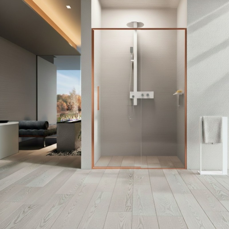 Mampara Novellini Riga 2P