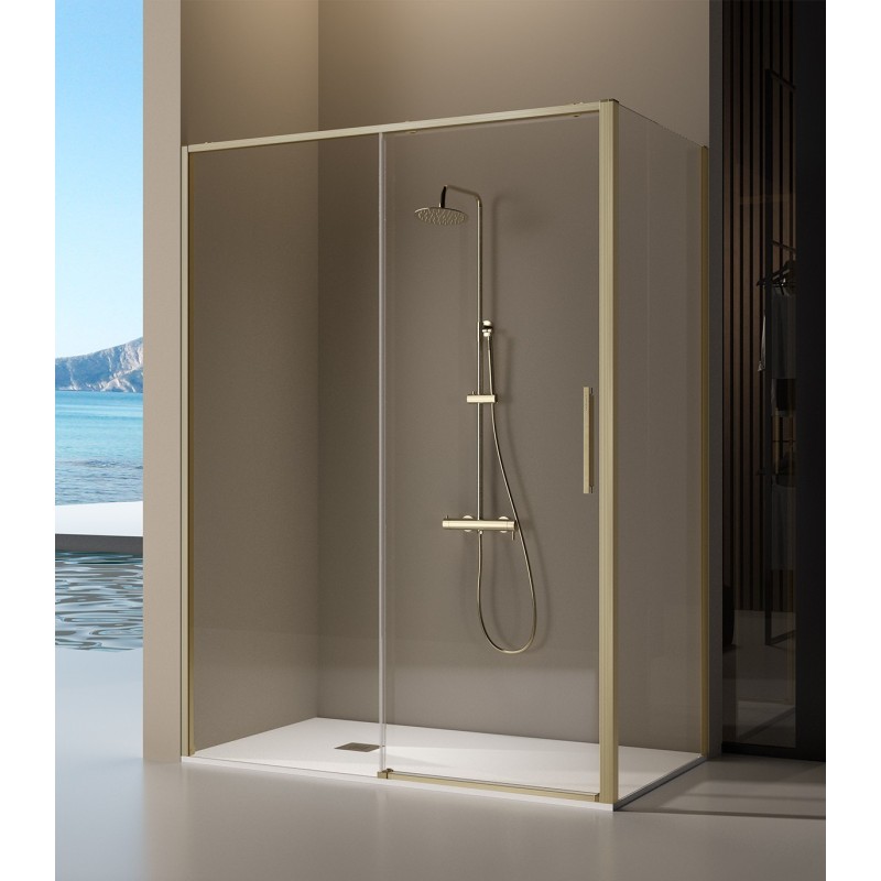 Mampara Kassandra Delta 1F1C