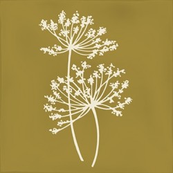 Azulejo efecto Hidráulico Root de Vives para Baño,Cocina,Residencial