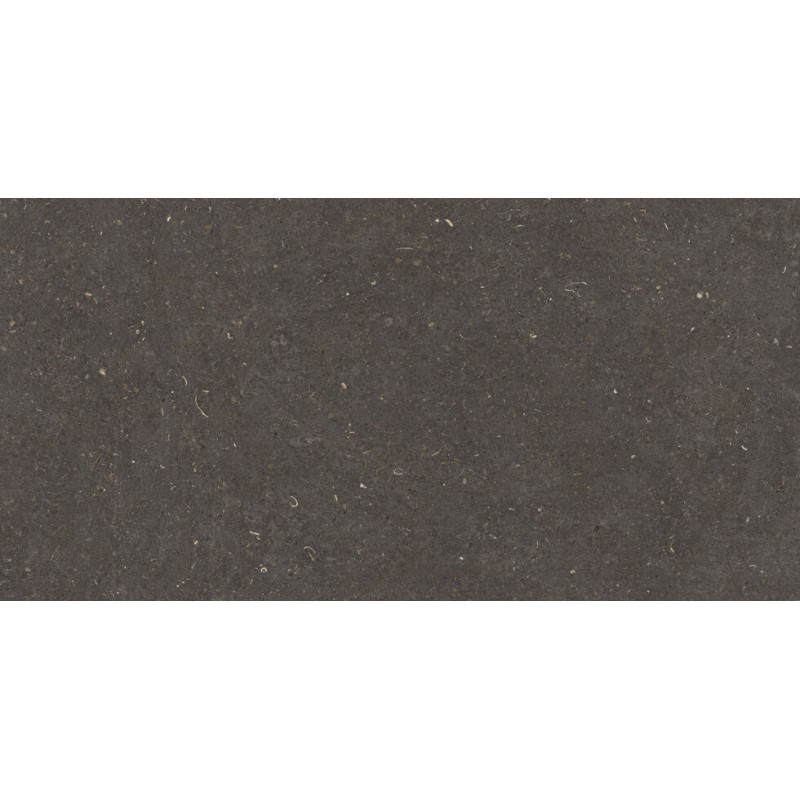 Porcelánico Vincen Anthracite 60x120|Promos Ferrolan