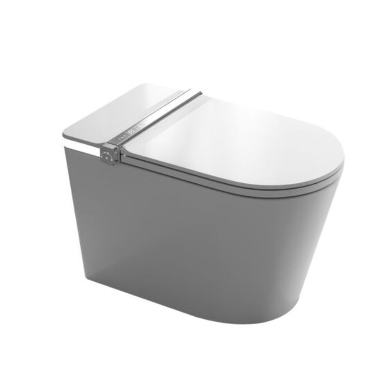 Fossil Natural Lyra Smart Toilet Blanco