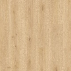 BALTERIO ENTRATA ROBLE TREVISO 61143