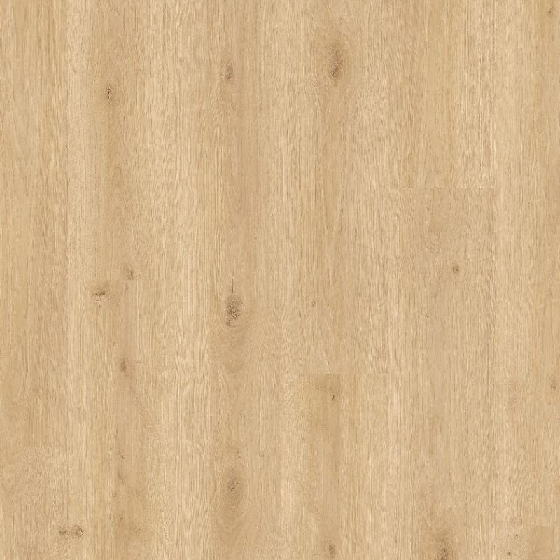 BALTERIO ENTRATA ROBLE TREVISO 61143