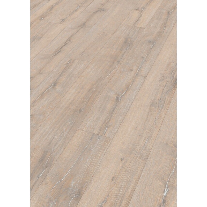 ROBLE SOLSTICIO DE VERANO 6864 LL150 (S)