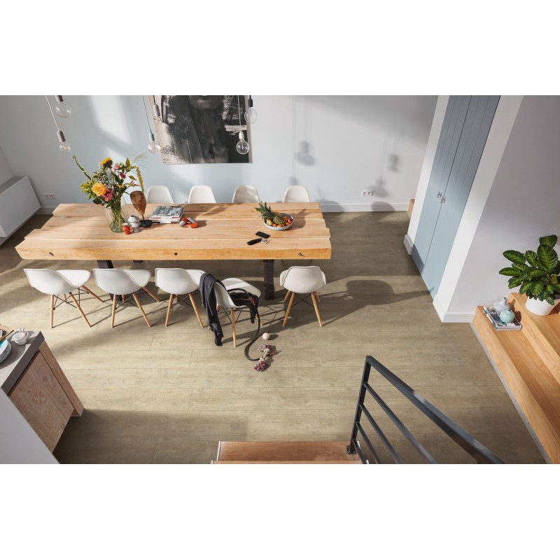 MEISTER LL150 PANOPOLIS 6684