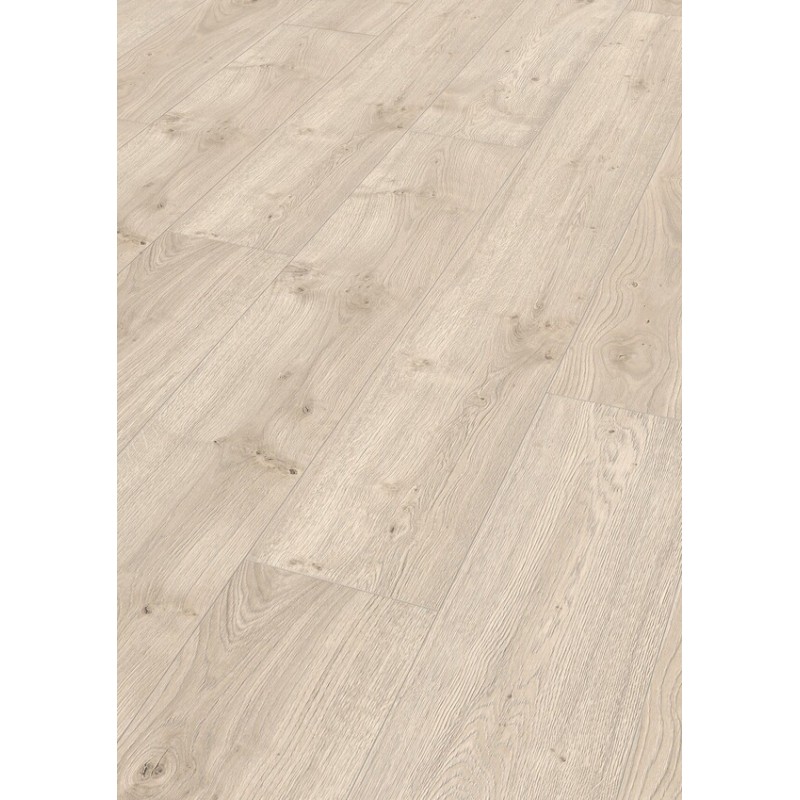 ROBLE POLAR 6381 LL250 MEISTER