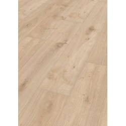 ROBLE ATACAMA 6380 LL250 MEISTER