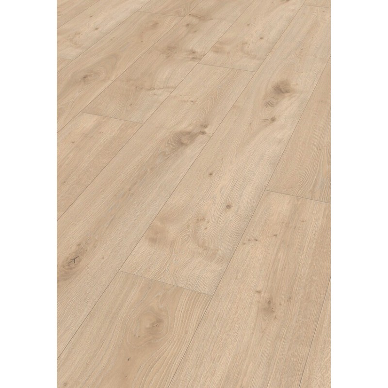 ROBLE ATACAMA 6380 LL250 MEISTER